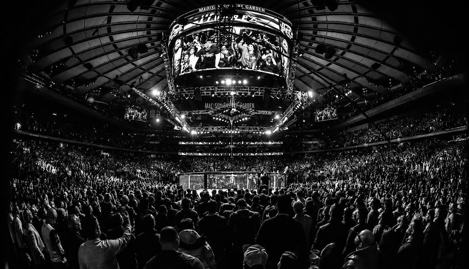 Arène de MMA remplie de spectateurs